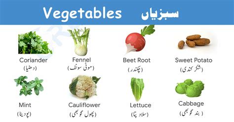 kale meaning in urdu|kale vegetable in urdu.